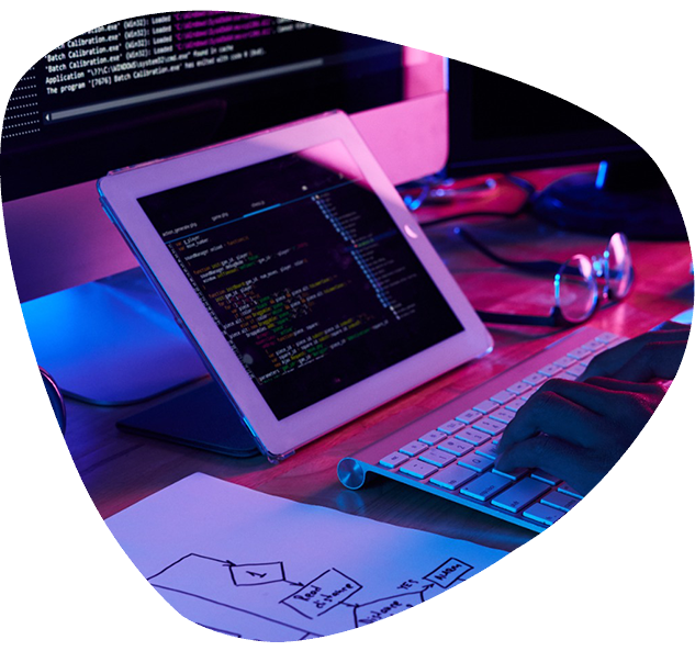 Website Development Company in Delhi